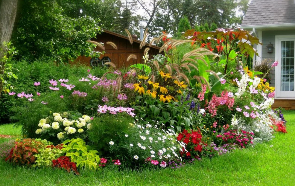 Цветы на огороде и на даче фото